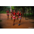 Team 74 / Raid Amazones Sri Lanka 2022 - J6 Trail