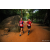 Team 92 / Raid Amazones Sri Lanka 2022 - J6 Trail