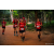 Team 25 / Raid Amazones Sri Lanka 2022 - J6 Trail