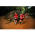 Team 25 / Raid Amazones Sri Lanka 2022 - J6 Trail