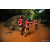 Team 35 / Raid Amazones Sri Lanka 2022 - J6 Trail