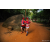 Team 90 / Raid Amazones Sri Lanka 2022 - J6 Trail