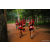Team 13 / Raid Amazones Sri Lanka 2022 - J6 Trail