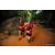 Team 13 / Raid Amazones Sri Lanka 2022 - J6 Trail