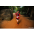 Team 70 / Raid Amazones Sri Lanka 2022 - J6 Trail