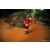 Team 70 / Raid Amazones Sri Lanka 2022 - J6 Trail
