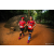 Team 39 / Raid Amazones Sri Lanka 2022 - J6 Trail