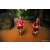 Team 08 / Raid Amazones Sri Lanka 2022 - J6 Trail