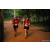 Team 69 / Raid Amazones Sri Lanka 2022 - J6 Trail