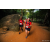 Team 69 / Raid Amazones Sri Lanka 2022 - J6 Trail