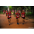 Team 320 / Raid Amazones Sri Lanka 2022 - J6 Trail
