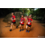Team 320 / Raid Amazones Sri Lanka 2022 - J6 Trail