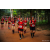 Team 48 / Raid Amazones Sri Lanka 2022 - J6 Trail
