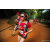 Team 308 / Raid Amazones Sri Lanka 2022 - J6 Trail