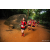 Team 310 / Raid Amazones Sri Lanka 2022 - J6 Trail