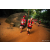 Team 310 / Raid Amazones Sri Lanka 2022 - J6 Trail