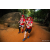Team 86 / Raid Amazones Sri Lanka 2022 - J6 Trail
