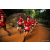 Team 335 / Raid Amazones Sri Lanka 2022 - J6 Trail