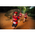 Team 303 / Raid Amazones Sri Lanka 2022 - J6 Trail