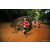 Team 304 / Raid Amazones Sri Lanka 2022 - J6 Trail