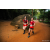 Team 304 / Raid Amazones Sri Lanka 2022 - J6 Trail