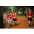 Team 319 / Raid Amazones Sri Lanka 2022 - J6 Trail