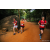 Team 319 / Raid Amazones Sri Lanka 2022 - J6 Trail