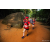Team 311 / Raid Amazones Sri Lanka 2022 - J6 Trail