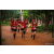 Team 318 / Raid Amazones Sri Lanka 2022 - J6 Trail