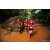 Team 318 / Raid Amazones Sri Lanka 2022 - J6 Trail