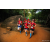 Team 312 / Raid Amazones Sri Lanka 2022 - J6 Trail