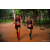 Team 336 / Raid Amazones Sri Lanka 2022 - J6 Trail