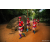 Team 328 / Raid Amazones Sri Lanka 2022 - J6 Trail