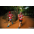Team 322 / Raid Amazones Sri Lanka 2022 - J6 Trail
