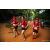 Team 307 / Raid Amazones Sri Lanka 2022 - J6 Trail
