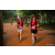 Team 338 / Raid Amazones Sri Lanka 2022 - J6 Trail