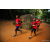 Team 340 / Raid Amazones Sri Lanka 2022 - J6 Trail