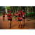 Team 339 / Raid Amazones Sri Lanka 2022 - J6 Trail