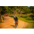 Raid Amazones Sri Lanka 2022 - J6 Trail