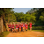 Team 77 / Raid Amazones Sri Lanka 2022 - J6 Trail