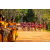 Team 77 / Raid Amazones Sri Lanka 2022 - J6 Trail