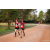 Team 38 / Raid Amazones Sri Lanka 2022 - J6 Trail