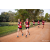 Team 71 / Raid Amazones Sri Lanka 2022 - J6 Trail