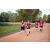 Team 43 / Raid Amazones Sri Lanka 2022 - J6 Trail