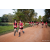 Team 09 / Raid Amazones Sri Lanka 2022 - J6 Trail