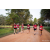 Team 24 / Raid Amazones Sri Lanka 2022 - J6 Trail