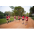 Team 58 / Raid Amazones Sri Lanka 2022 - J6 Trail