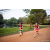 Team 75 / Raid Amazones Sri Lanka 2022 - J6 Trail