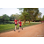 Team 87 / Raid Amazones Sri Lanka 2022 - J6 Trail