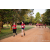 Team 62 / Raid Amazones Sri Lanka 2022 - J6 Trail